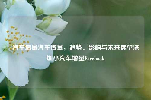 汽车增量汽车增量，趋势、影响与未来展望深圳小汽车增量Facebook