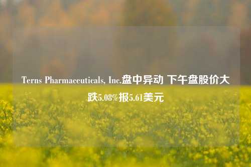 Terns Pharmaceuticals, Inc.盘中异动 下午盘股价大跌5.08%报5.61美元