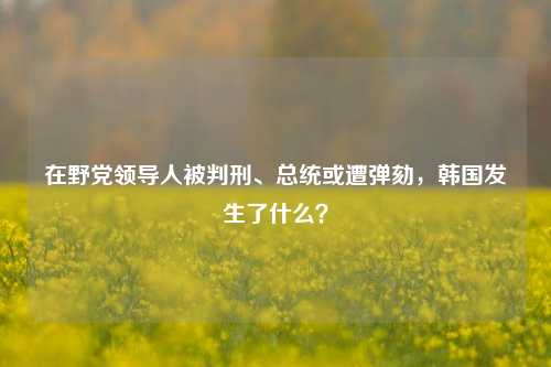 在野党领导人被判刑、总统或遭弹劾，韩国发生了什么？