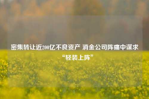 密集转让近200亿不良资产 消金公司阵痛中谋求“轻装上阵”