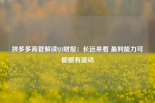 拼多多高管解读Q3财报：长远来看 盈利能力可能略有波动