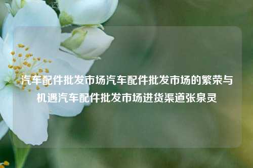 汽车配件批发市场汽车配件批发市场的繁荣与机遇汽车配件批发市场进货渠道张泉灵