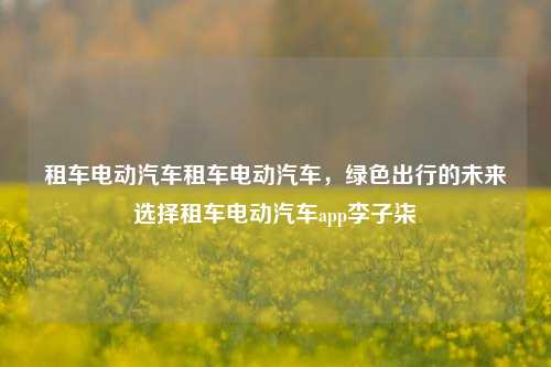 租车电动汽车租车电动汽车，绿色出行的未来选择租车电动汽车app李子柒