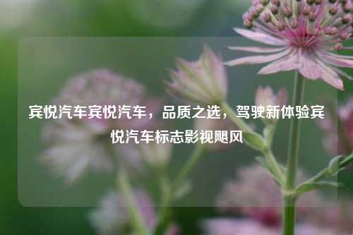 宾悦汽车宾悦汽车，品质之选，驾驶新体验宾悦汽车标志影视飓风