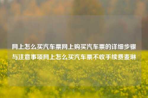 网上怎么买汽车票网上购买汽车票的详细步骤与注意事项网上怎么买汽车票不收手续费麦琳