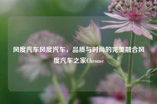 风度汽车风度汽车，品质与时尚的完美融合风度汽车之家Chrome