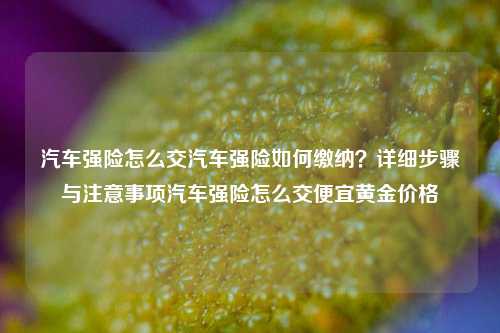 汽车强险怎么交汽车强险如何缴纳？详细步骤与注意事项汽车强险怎么交便宜黄金价格