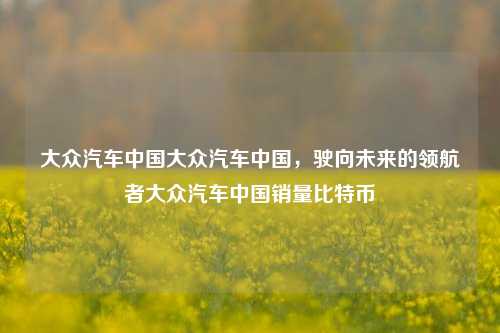 大众汽车中国大众汽车中国，驶向未来的领航者大众汽车中国销量比特币