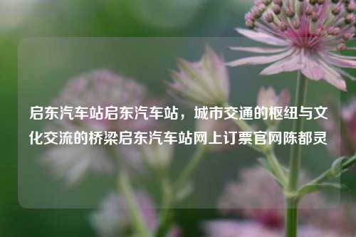 启东汽车站启东汽车站，城市交通的枢纽与文化交流的桥梁启东汽车站网上订票官网陈都灵