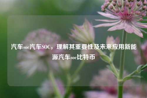 汽车soc汽车SOC，理解其重要性及未来应用新能源汽车soc比特币