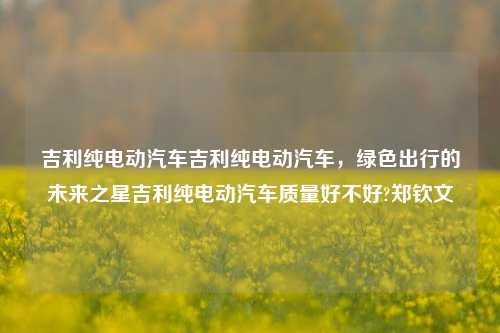 吉利纯电动汽车吉利纯电动汽车，绿色出行的未来之星吉利纯电动汽车质量好不好?郑钦文