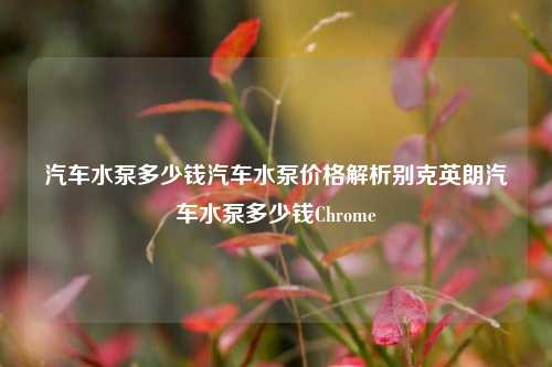 汽车水泵多少钱汽车水泵价格解析别克英朗汽车水泵多少钱Chrome