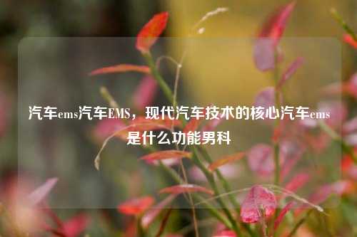 汽车ems汽车EMS，现代汽车技术的核心汽车ems是什么功能男科