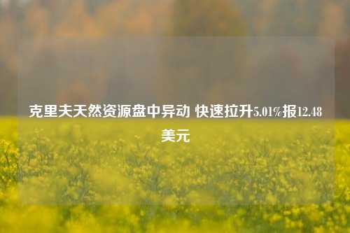 克里夫天然资源盘中异动 快速拉升5.01%报12.48美元