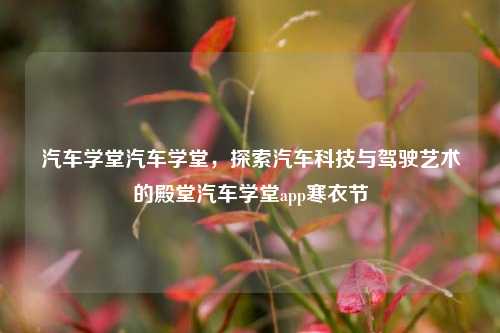 汽车学堂汽车学堂，探索汽车科技与驾驶艺术的殿堂汽车学堂app寒衣节