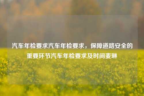 汽车年检要求汽车年检要求，保障道路安全的重要环节汽车年检要求及时间麦琳