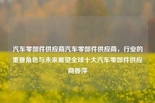 汽车零部件供应商汽车零部件供应商，行业的重要角色与未来展望全球十大汽车零部件供应商姜萍