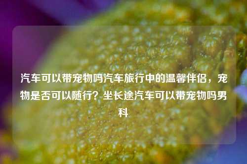 汽车可以带宠物吗汽车旅行中的温馨伴侣，宠物是否可以随行？坐长途汽车可以带宠物吗男科