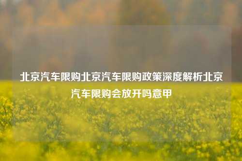 北京汽车限购北京汽车限购政策深度解析北京汽车限购会放开吗意甲