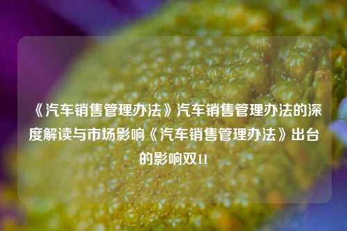 《汽车销售管理办法》汽车销售管理办法的深度解读与市场影响《汽车销售管理办法》出台的影响双11