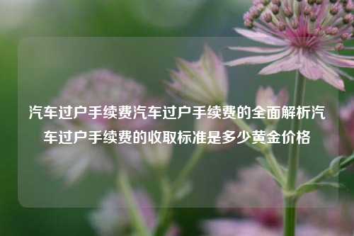 汽车过户手续费汽车过户手续费的全面解析汽车过户手续费的收取标准是多少黄金价格