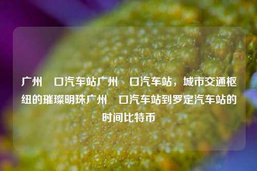 广州滘口汽车站，城市交通枢纽的璀璨明珠