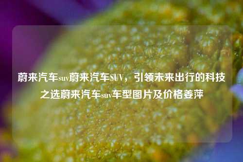 蔚来汽车suv蔚来汽车SUV，引领未来出行的科技之选蔚来汽车suv车型图片及价格姜萍