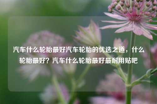 汽车轮胎优选指南