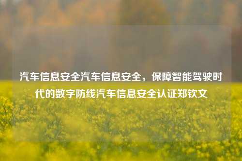 汽车信息安全汽车信息安全，保障智能驾驶时代的数字防线汽车信息安全认证郑钦文