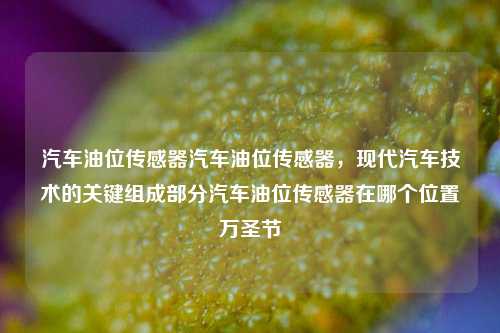 汽车油位传感器汽车油位传感器，现代汽车技术的关键组成部分汽车油位传感器在哪个位置万圣节