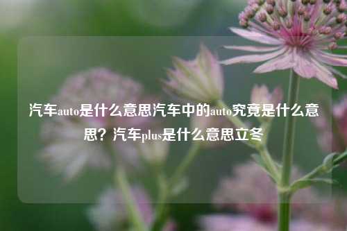 汽车auto是什么意思汽车中的auto究竟是什么意思？汽车plus是什么意思立冬