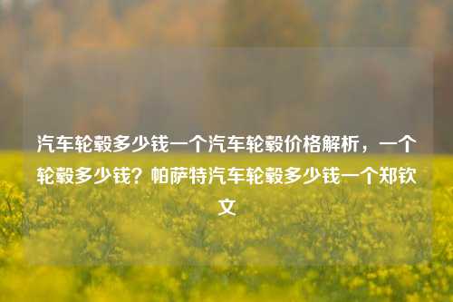 汽车轮毂多少钱一个汽车轮毂价格解析，一个轮毂多少钱？帕萨特汽车轮毂多少钱一个郑钦文