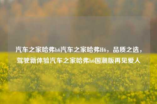 汽车之家哈弗h6汽车之家哈弗H6，品质之选，驾驶新体验汽车之家哈弗h6国潮版再见爱人