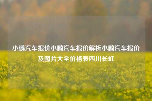 小鹏汽车报价小鹏汽车报价解析小鹏汽车报价及图片大全价格表四川长虹