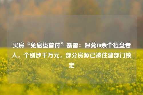 买房“免息垫首付”暴雷：深莞10余个楼盘卷入，个别涉千万元，部分房源已被住建部门锁定