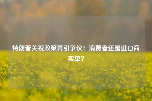 特朗普关税政策再引争议：消费者还是进口商买单？