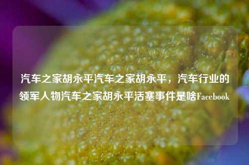 汽车之家胡永平汽车之家胡永平，汽车行业的领军人物汽车之家胡永平活塞事件是啥Facebook