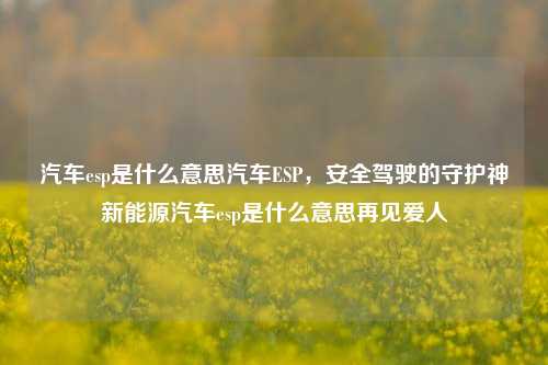 汽车esp是什么意思汽车ESP，安全驾驶的守护神新能源汽车esp是什么意思再见爱人