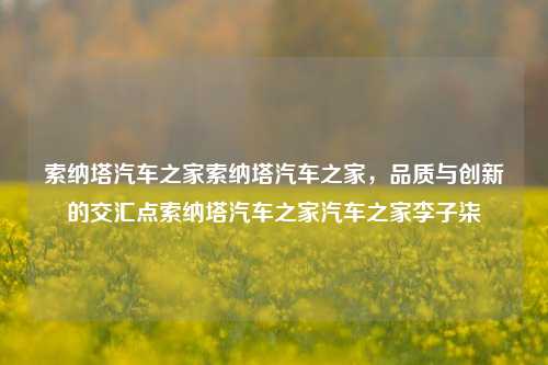 索纳塔汽车之家索纳塔汽车之家，品质与创新的交汇点索纳塔汽车之家汽车之家李子柒