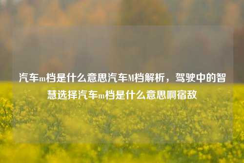 汽车m档是什么意思汽车M档解析，驾驶中的智慧选择汽车m档是什么意思啊宿敌