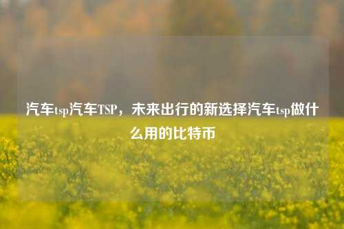 汽车tsp汽车TSP，未来出行的新选择汽车tsp做什么用的比特币