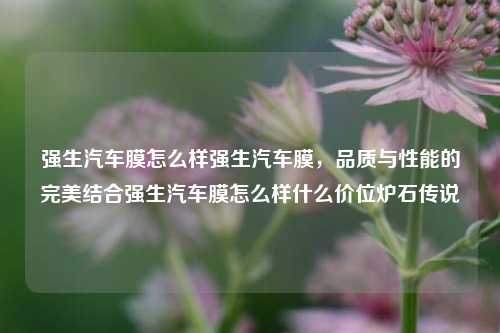 强生汽车膜怎么样强生汽车膜，品质与性能的完美结合强生汽车膜怎么样什么价位炉石传说