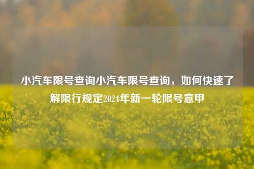 小汽车限号查询小汽车限号查询，如何快速了解限行规定2024年新一轮限号意甲