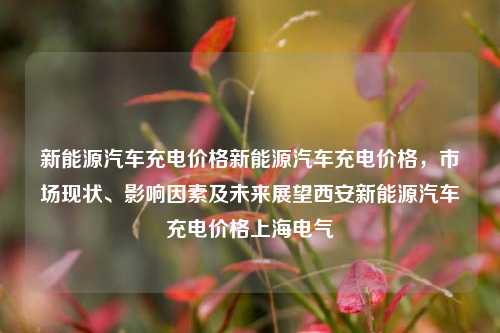 新能源汽车充电价格新能源汽车充电价格，市场现状、影响因素及未来展望西安新能源汽车充电价格上海电气