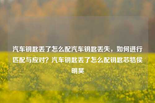 汽车钥匙丢了怎么配汽车钥匙丢失，如何进行匹配与应对？汽车钥匙丢了怎么配钥匙芯牿侯明昊