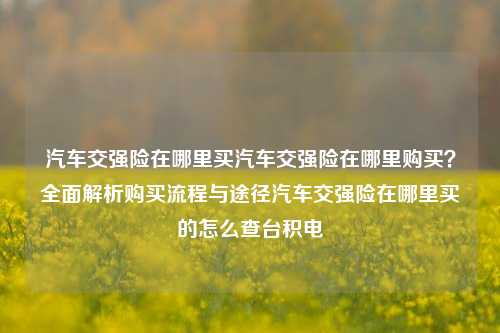 汽车交强险在哪里买汽车交强险在哪里购买？全面解析购买流程与途径汽车交强险在哪里买的怎么查台积电