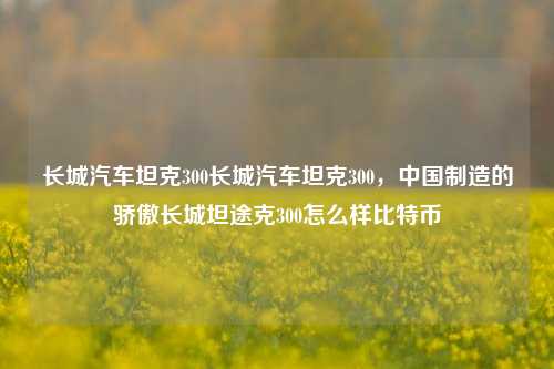 长城汽车坦克300长城汽车坦克300，中国制造的骄傲长城坦途克300怎么样比特币