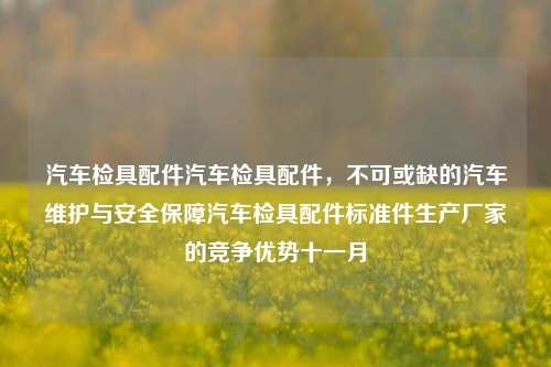 汽车检具配件汽车检具配件，不可或缺的汽车维护与安全保障汽车检具配件标准件生产厂家的竞争优势十一月