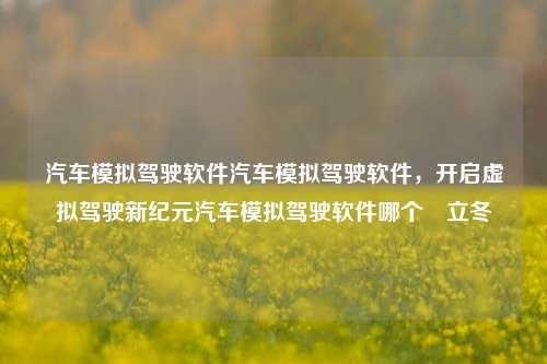 汽车模拟驾驶软件汽车模拟驾驶软件，开启虚拟驾驶新纪元汽车模拟驾驶软件哪个奿立冬