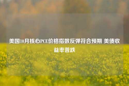 美国10月核心PCE价格指数反弹符合预期 美债收益率普跌